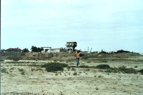 Porto di Aral